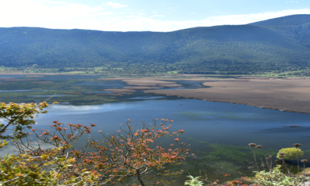 A Breath of New Life to Lake Stymphalia