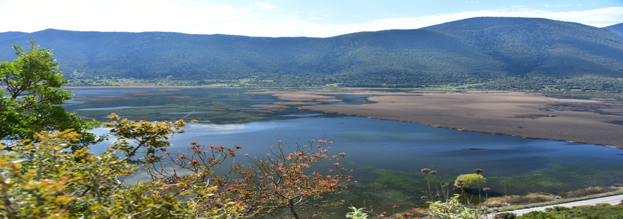 A Breath of New Life to Lake Stymphalia