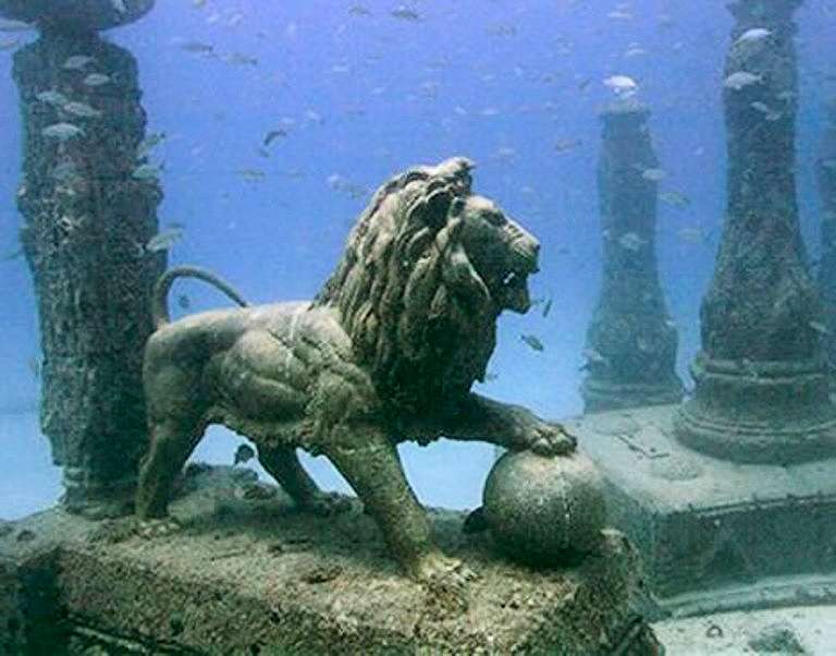 Lion underwater