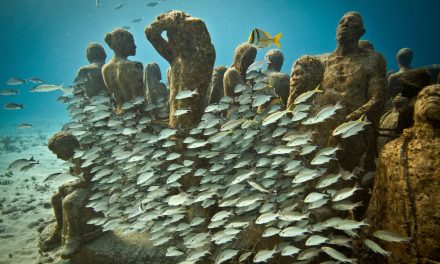 Artificial Reefs Project Dives into Greek Mythology