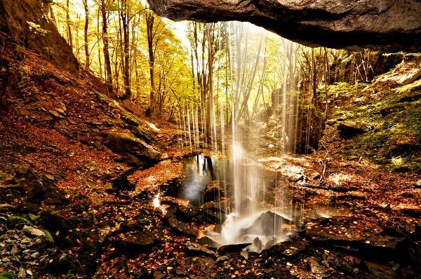 mGR Drama Fracto Virgin Forest elliniko panorama.gr