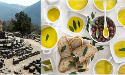 ATHENA international olive oil competition
