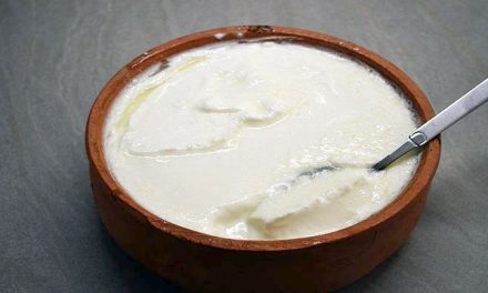 Greek yogurt: tradition exported