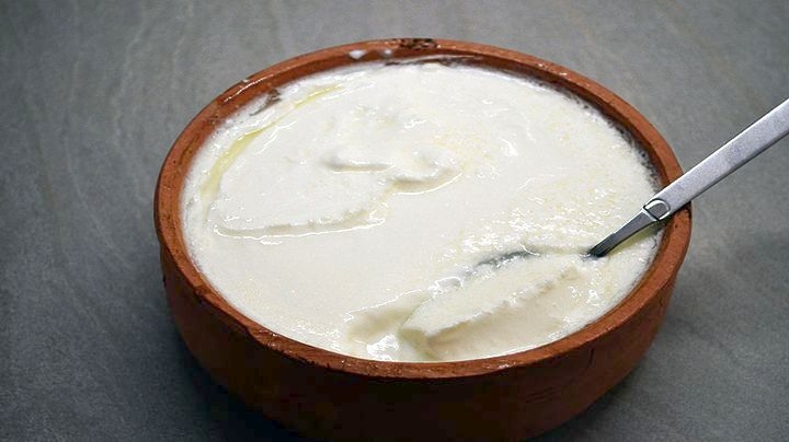 yogurt amna