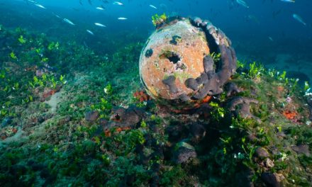 Four shipwrecks to become underwater museums