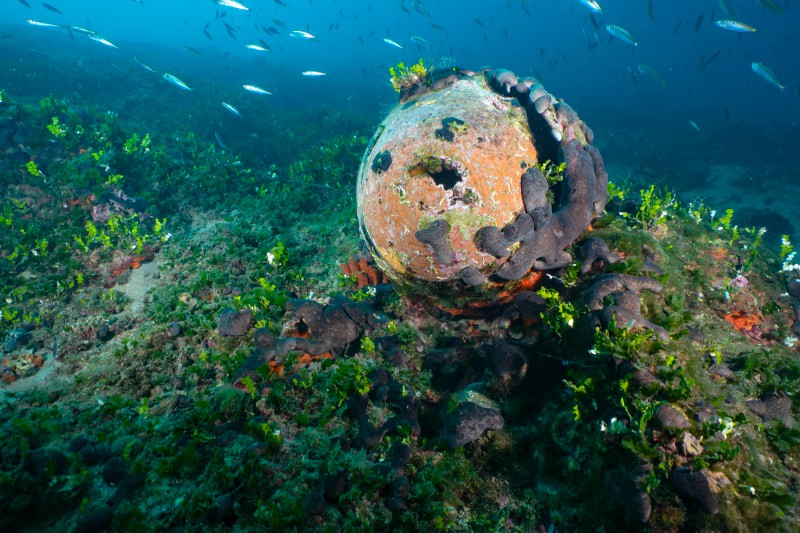 Four shipwrecks to become underwater museums