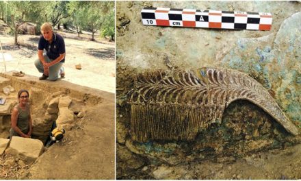 The Griffin Warrior unlocks secrets of the Mycenaean civilisation