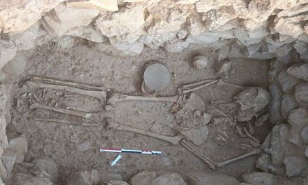 Sissi Archaeological Project in Crete