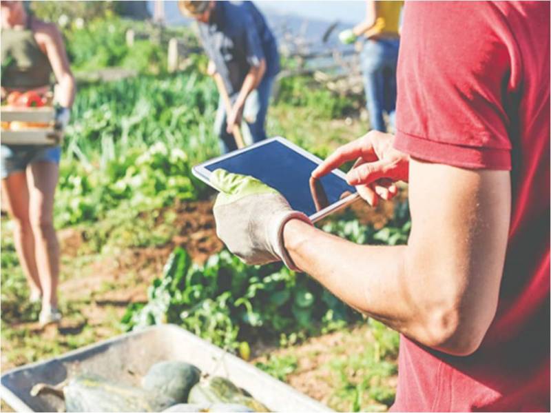 800 tablet agriculture