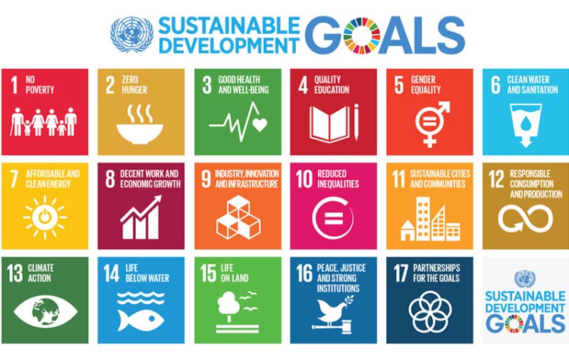 800 Sustainable Development Goals