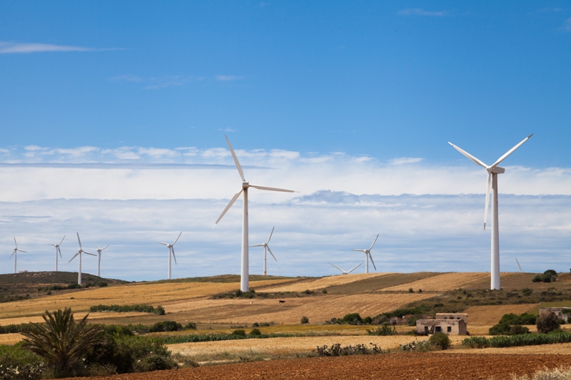 800 wind mills