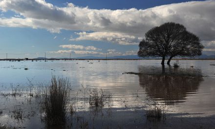 Greek Ramsar Wetlands