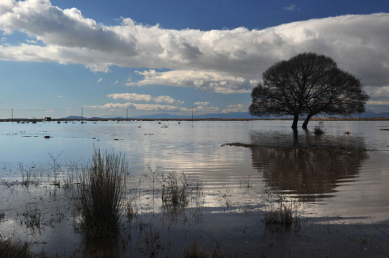 Greek Ramsar Wetlands