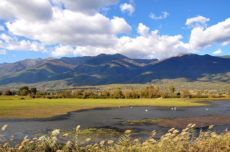 K.Dominou Lake Kerkini 3