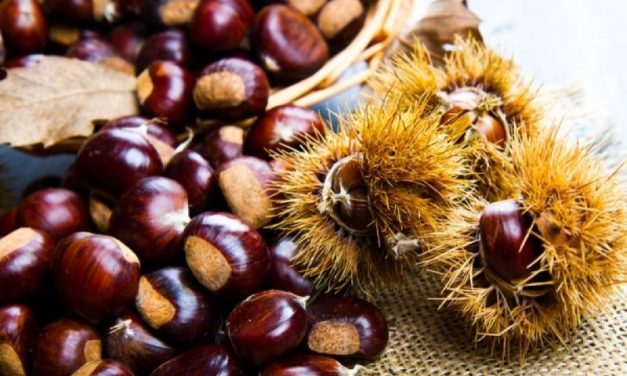 Chestnuts: One of Greece’s Winter Delicacies