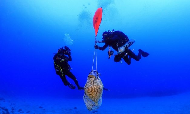 Positive stories: Underwater archaeological research in Kassos and more