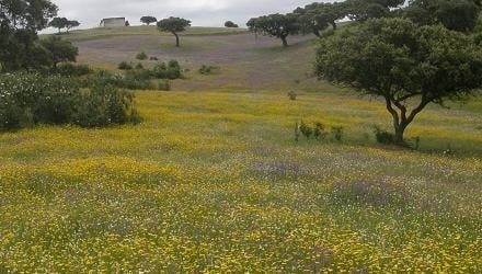 Study in Greece Masters of the Week: Researcher George Fakotakis presents the MSc Programmes at the CIHEAM Mediterranean Agronomic Institute of Chania