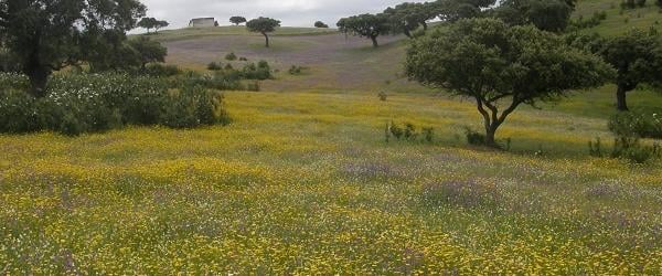 Study in Greece Masters of the Week: Researcher George Fakotakis presents the MSc Programmes at the CIHEAM Mediterranean Agronomic Institute of Chania