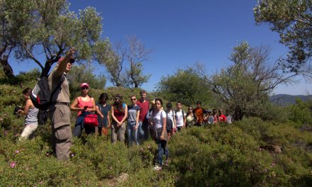 Study in Greece Masters of the Week: Professor Petros Gaganis presents the MSc in Environmental Science, Policy & Management (MESPOM) at the University of the Aegean