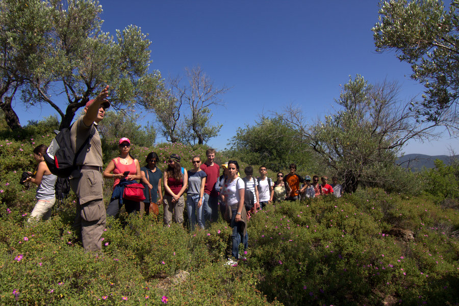 Study in Greece Masters of the Week: Professor Petros Gaganis presents the MSc in Environmental Science, Policy & Management (MESPOM) at the University of the Aegean