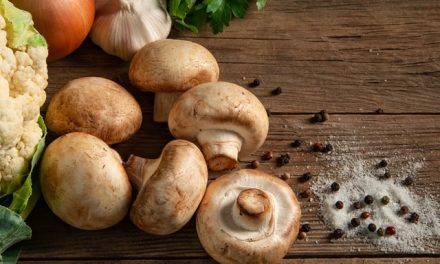 Greece’s Fascinating World of Mushrooms