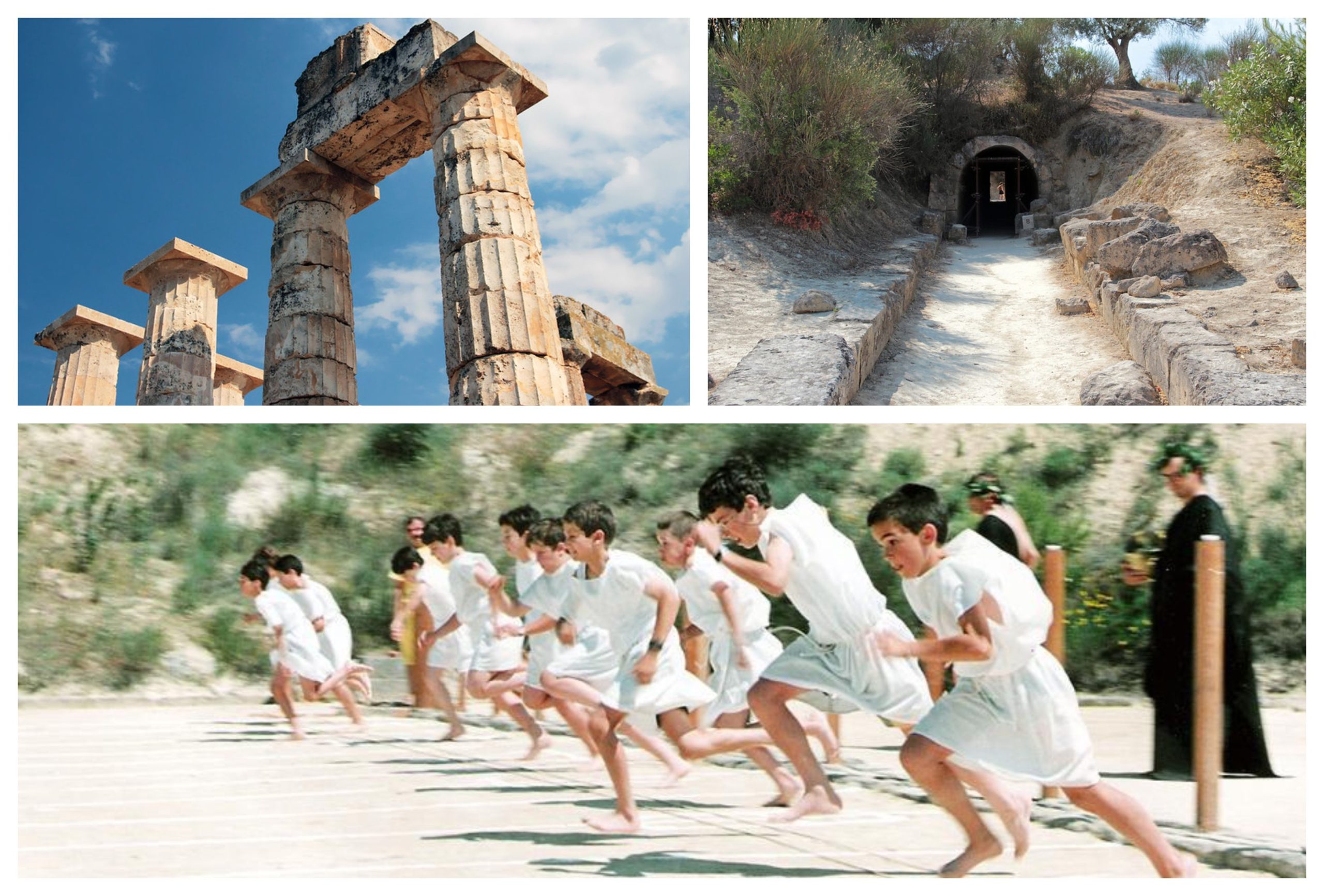 NEMEA collage2