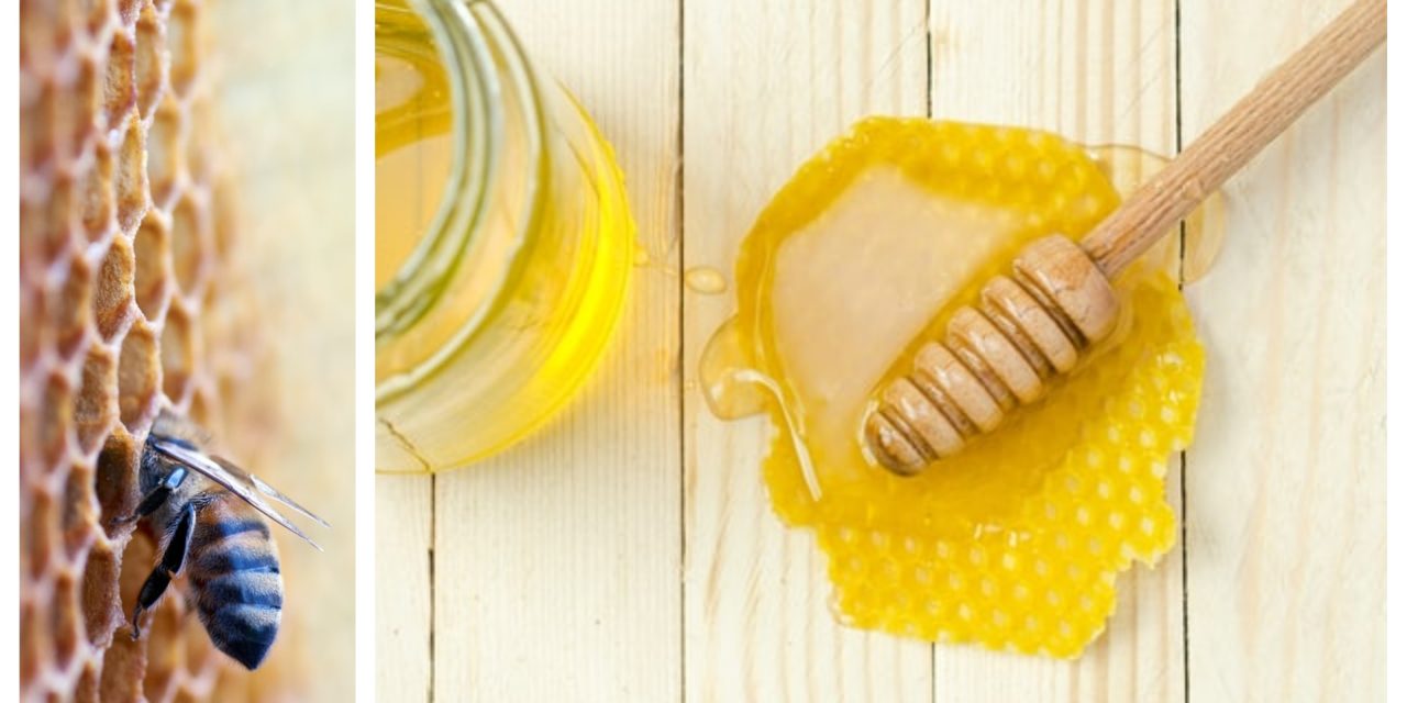 Greek Honey, one of the world’s best