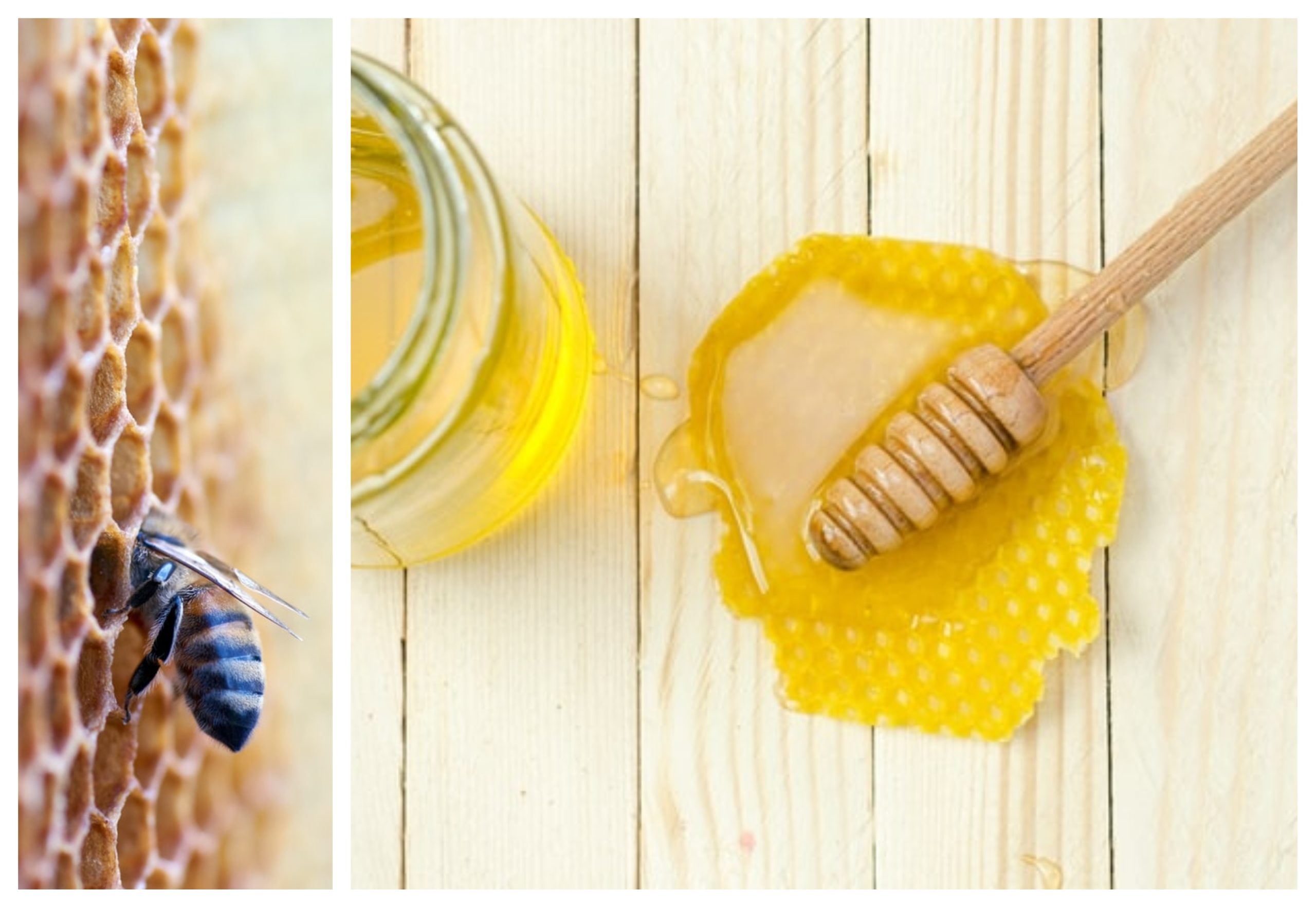 Honey INTRO