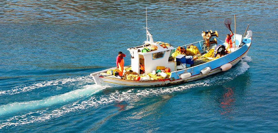 Fishing tourism: New opportunities open up for Greece