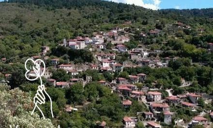 Vamvakou Incubator | A model mountain business centre in Lakonia (Peloponnese)