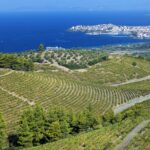 Wine routes of northern Greece – Chalkidiki