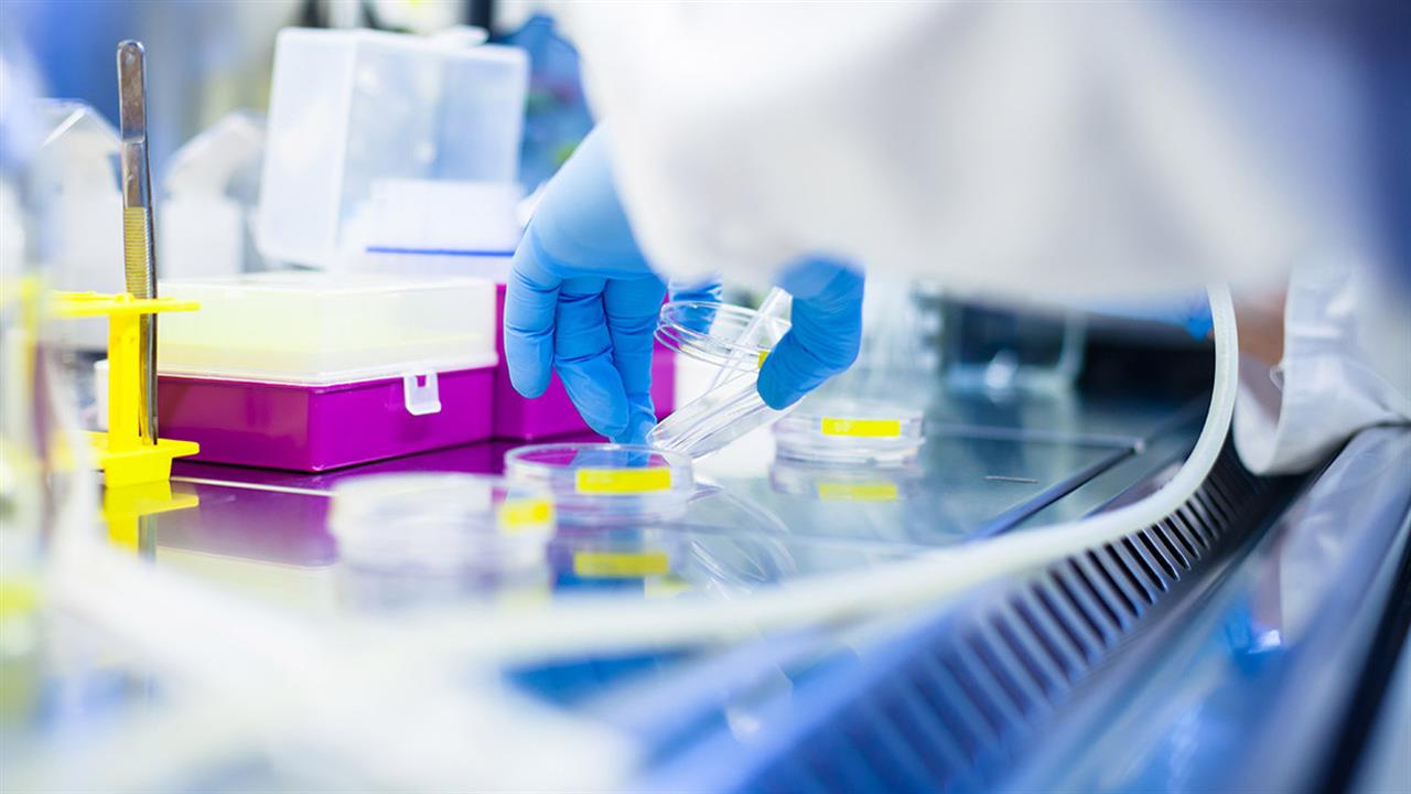 Pharmaceutical Industry