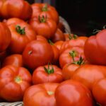 Tomato: From Countryside Produce to Professional Agribusiness