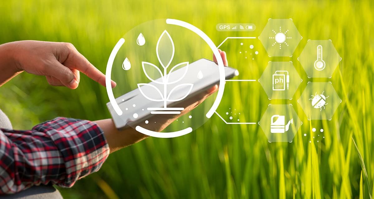 University of Thessaly Showcases Smart Farming with Internet of Things, AI, Virtual Reality, 5G and Robotics