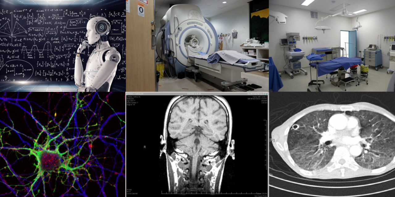 International Program Stories / MSc in Biomedical Engineering & Technology