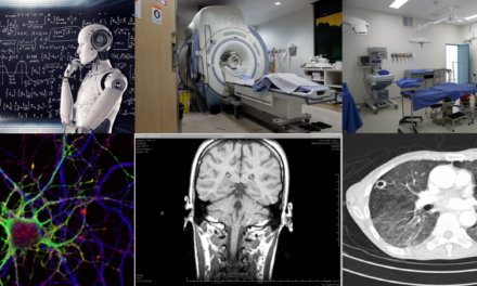 International Program Stories / MSc in Biomedical Engineering & Technology