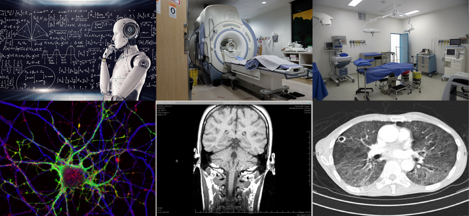 International Program Stories / MSc in Biomedical Engineering ...